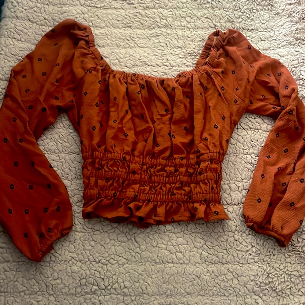 Fitted Crop Long Sleeve Top